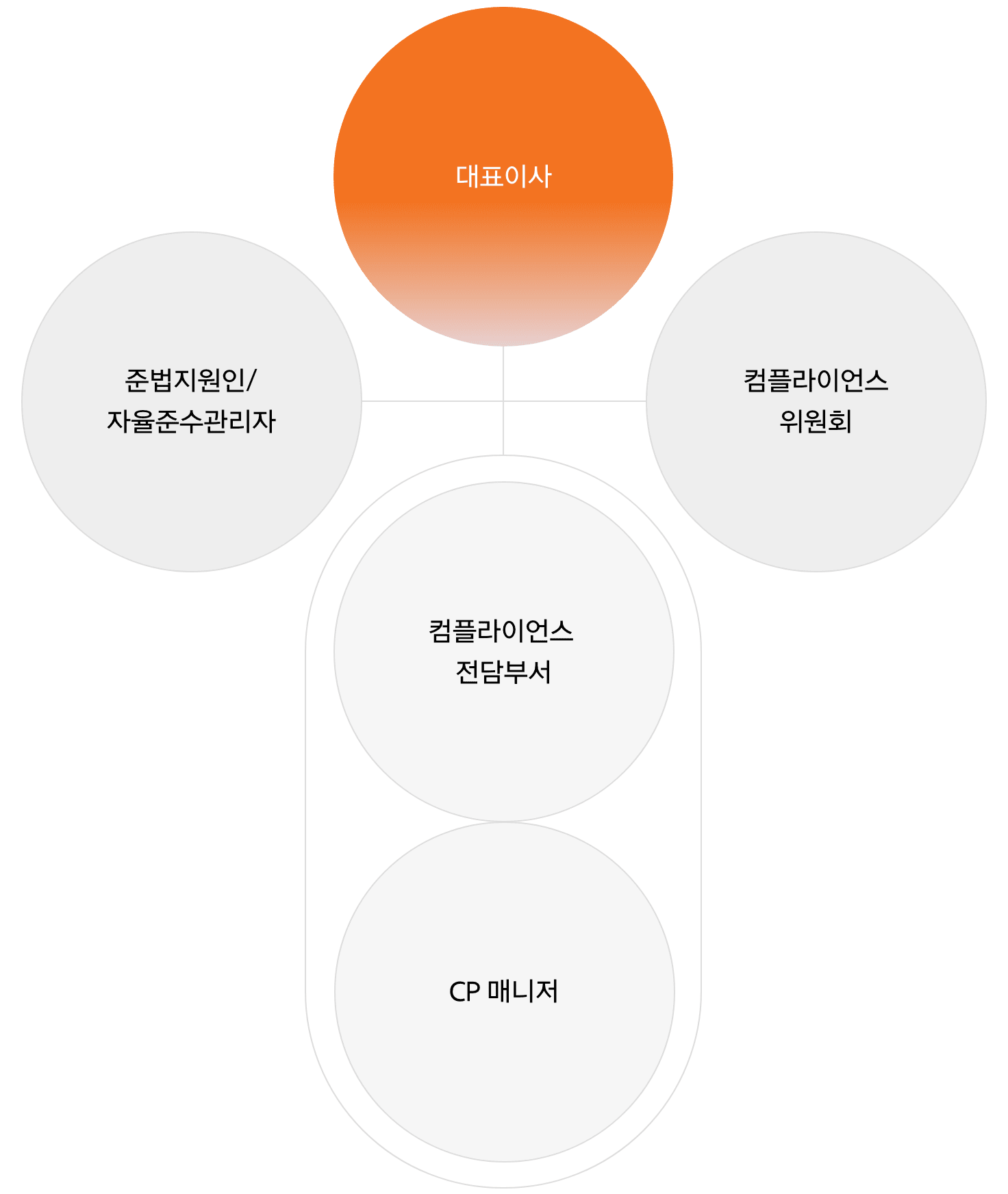 컴플라이언스 운영 조직도